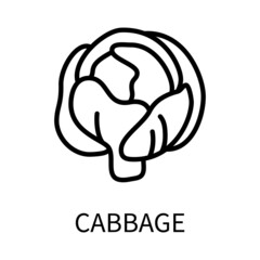 Line Icon Cabbage In Simple Style. Vector sign in a simple style isolated on a white background.