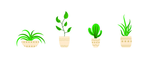 Vector Home Plants Set Isolated on White Background, Icons, Plants in Pots, Vector Illustration.