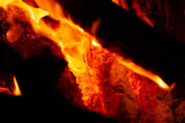 Obraz premium 焚き火