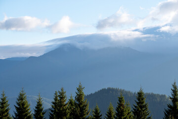 Beautiful autumn view of mountains covered coniferous forest. Great Smoky Mountains National Park, Ukraine. 