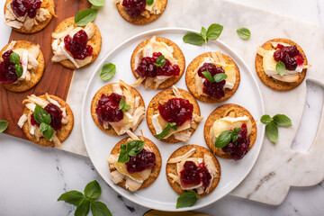 Party appetizers with turkey, brie and cranberry sauce - obrazy, fototapety, plakaty