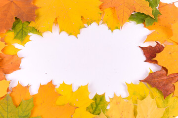 Naklejka na ściany i meble Autumn composition with yellow maple leaves on a white background. Beautiful autumn background with copy space. Flat lay, top view, copy space