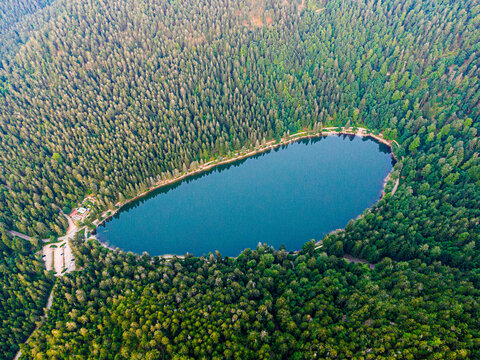 Aerial view of the Lac des corbeaux surrounded by forest, Voges, La Bresse, Lake Crows