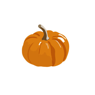 orange pumpkin