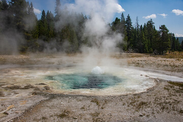 Spasmodic Geyser, Upper Geyser Basin, Yellowstone National Park, Wyoming, USA