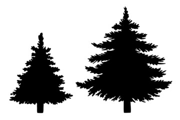 spruce tree silhouettes Vector isolated illustration
