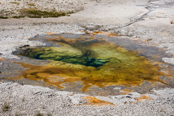 Chromatic Spring, Upper Geyser Basin, Yellowstone National Park, Wyoming, USA