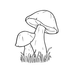 Mushrooms. For coloring book pages. Outline drawing