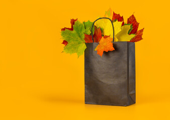 Autumn leaves in a bag on an orange background. Seasonal composition for layouts, template with...