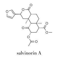 Salvinorin A entheogen molecule. Psychotropic molecule from Salvia divinorum. Skeletal formula.