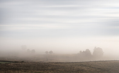 Paysage du plateau de l'aubrac dans le brouillard un matin d'automne