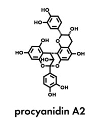 Proanthocyanidin A2 (procyanidin A2, PAC A2) molecule. Present in cranberry (juice) and a number of other plants. Used in urinary tract infarction prevention. Skeletal formula.