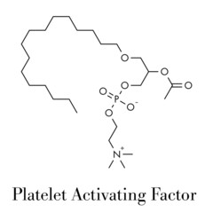 Platelet Activating Factor (PAF) signaling molecule. Skeletal formula.