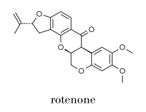 Rotenone broad-spectrum insecticide molecule. Also linked to development of Parkinson’s disease. Skeletal formula.