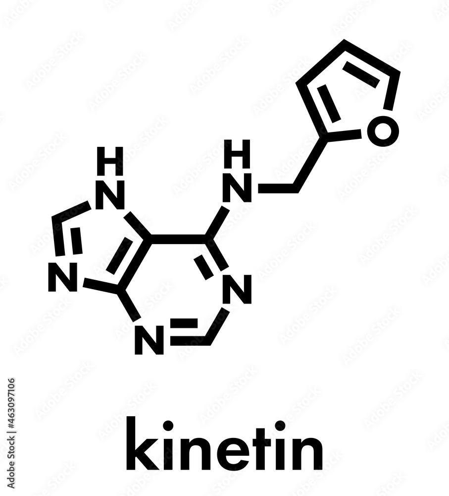 Poster kinetin (n6-furfuryladenine) plant hormone molecule. promotes cell division in plants. used in skin 