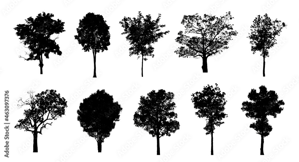 Poster set of trees silhouette for brush on white background