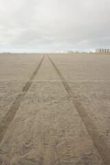 Naklejka premium Tire Trails Crossing a Wet Beach with Buildings on the Horizon on Sunlit Morning