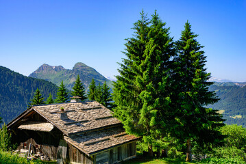 Fototapeta na wymiar A traditional wooden building in mountains of Alps in summer in Portes du Soleil, France, Europe