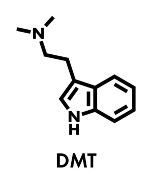 Dimethyltryptamine (DMT) psychedelic drug molecule. Present in the drink ayahuasca. Skeletal formula.