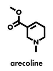 Arecoline areca nut stimulant compound, chemical structure. Skeletal formula.