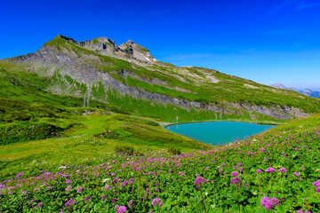 Landscape of mountains of Alps in summer with flowers and a lake in Portes du Soleil, France, Europe