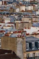 Fototapeta premium City detail of Paris from above, characteristic pattern of the zinc covered roofs