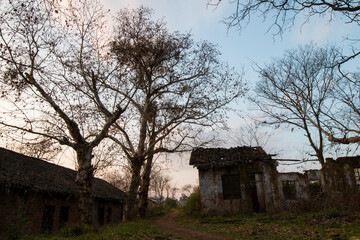 Fototapeta premium ruins of house in the field