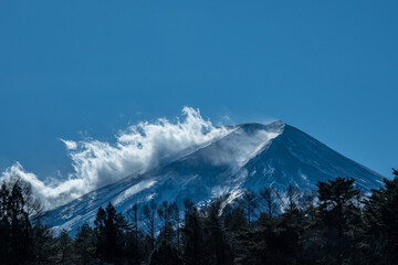 パインズパークからの富士山