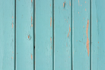 Texture photo of worn blue paint colored wooden boards.