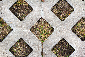 Fototapeta premium Close-up photo texture of concrete ornament road tile with grass and ground.