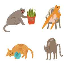 Set of cats knocking off plant, sitting, playing yarn ball, arhcing back.