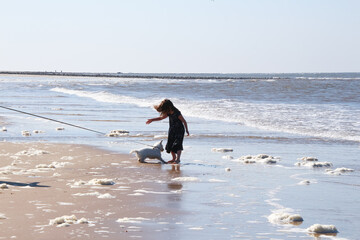 child playing in the water, play, in the sea, girl play on the beach with white dog, british beach, british, summer, british summer, norfolk beach, cromer, child, playing, beach, sunny day