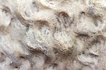 Close-up photo texture of worn marble statue hair pattern.