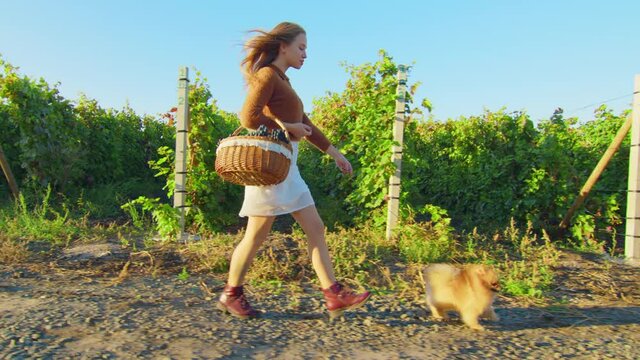 Adorable young girl walking with her cute dog shpitz in warm sunny day, slow-motion.