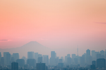 Fototapeta premium タワーホール船堀からの富士山