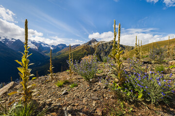 landscape in the mountains