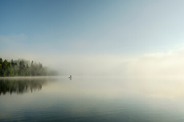 Obraz na płótnie Canvas Standup paddle boarder on a foggy forest lake