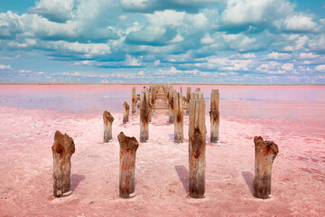 The pink lake is a beautiful landscape, unusual nature. A unique rare natural phenomenon. Salt lake with pink algae. Beautiful landscape. - obrazy, fototapety, plakaty