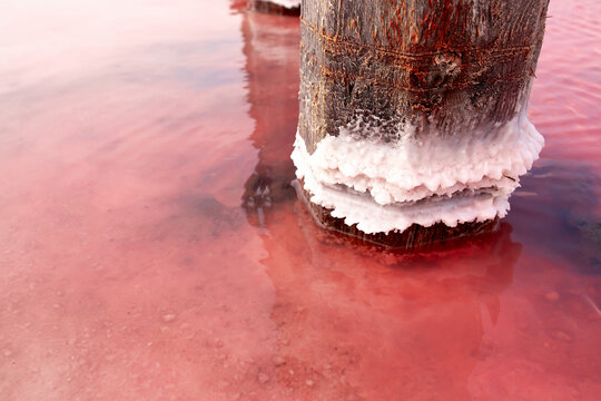 The pink lake is a beautiful landscape, unusual nature. A unique rare natural phenomenon. Salt lake with pink algae. Beautiful landscape.
