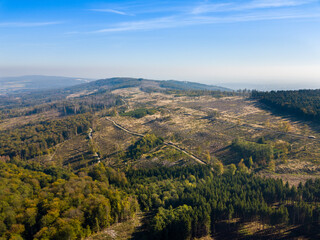 Luftaufnahme mit Drohne vom Waldsterben im Taunus durch den Borkenkäfer und Klimawandel in der Nähe von Oberursel, Deutschland Hessen