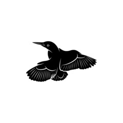 King fisher bird silhouette vector illustration design concept. creative design