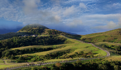 The natural source of alpine grasses is at Shangshan in Taipei City, Taipei City, Taiwan