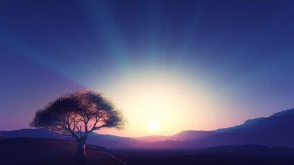 Naklejka na ściany i meble sunset at meadow and lonely tree