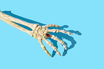 A skeleton hand with a beautiful golden ring and a ruby stone on the middle finger. Romantic...