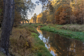 Landscape with a small river in the autumn forest. A river in a fairy forest with bright and rich colors. autumn colors in a dark forest.