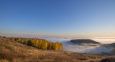 Autumn landscape with early morning fog. Birch trees with bright yellow foliage illuminated by the sun. Trees and hills in the fog. Dawn on a cold autumn morning.