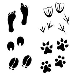 Vector human foot print and animals traces on white background