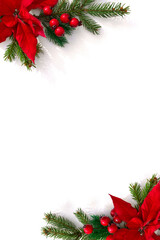 Christmas decoration. Frame of flowers of red poinsettia, branch christmas tree, red berries on white background with space for text. Top view, flat lay