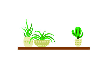 Vector Home Plants Set on a Shelf Isolated on White Background, Icons, Plants in Pots, Vector Illustration.