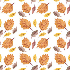 Obraz premium Seamless pattern with autumn leaves on a white background. Autumn patern with dry leaves hand-drawn in watercolor.